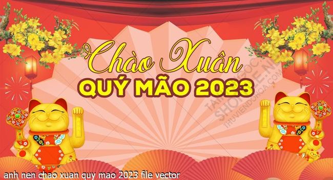 anh nen chao xuan quy mao 2023 file vector